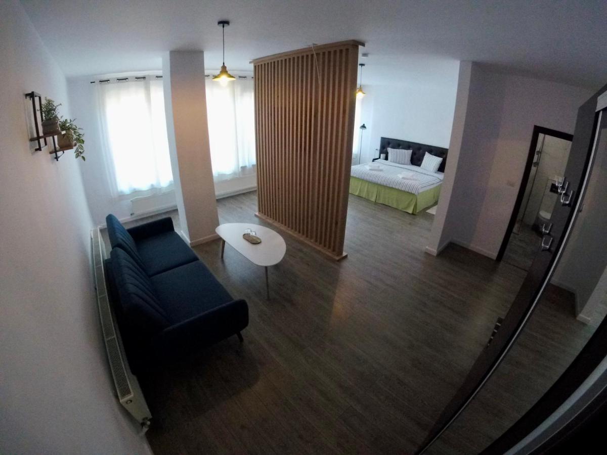 Cochet Accommodation Piatra Neamţ Eksteriør billede